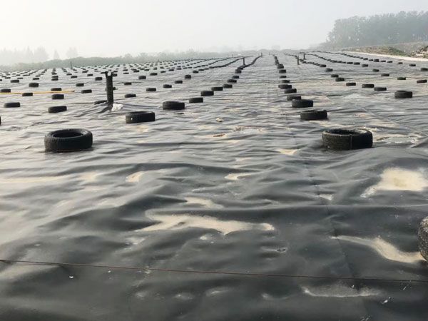 湖南長(cháng)污水處理廠(chǎng)
